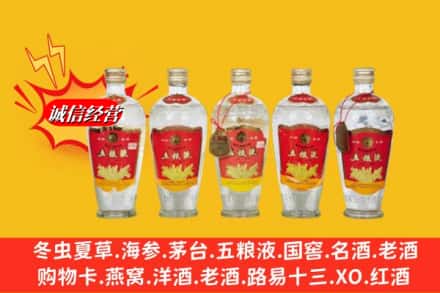 聂拉木县回收老五粮液