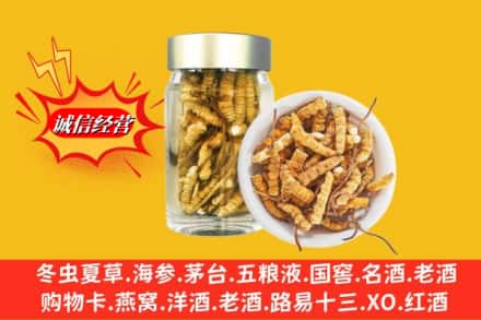 聂拉木县回收散虫草