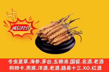 聂拉木县求购回收虫草多少钱每克